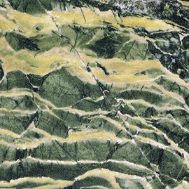 Dragon Green